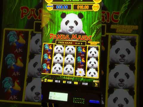 Explore the Excitement of Casino Spinpanda Explore the Excitement of Casino Spinpanda